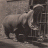 swappopotamus